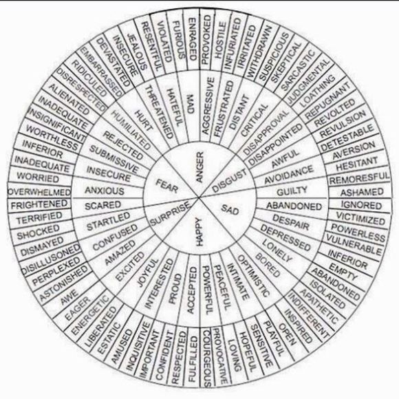 Meet your Posher, Nhật minh - Picture 1 of 1